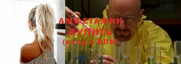 шишки Беломорск