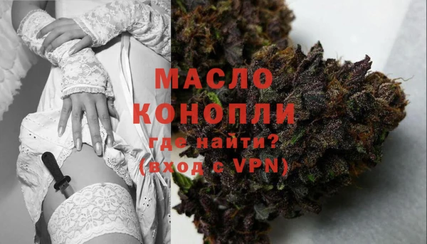 шишки Беломорск