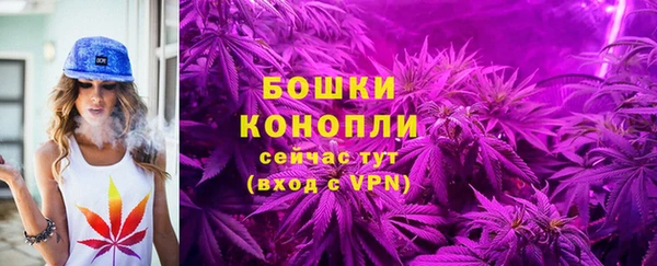 марки lsd Белокуриха
