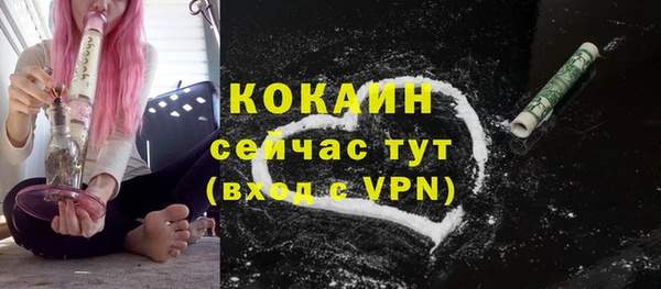 шишки Беломорск