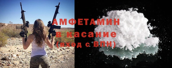 шишки Беломорск