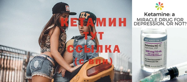 шишки Беломорск