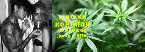 шишки Беломорск